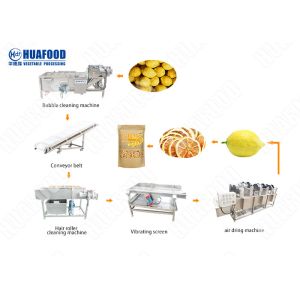 500kg / H AutomaticFruit And Vegetable Processing Line Fruit And Vegetable