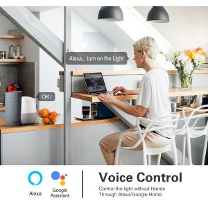 2Gang EU Standard Tuya Smart Zigbee Switch with App Voice Touch Control VIoce