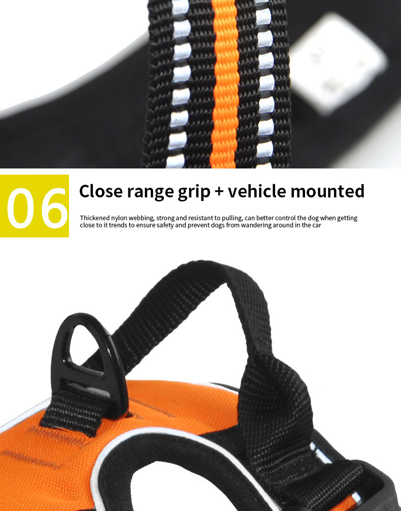 Durable Oxford Waterproof Harness Reflective Leash Bandana Outdoor Safety Custom Dog Adventure Kit