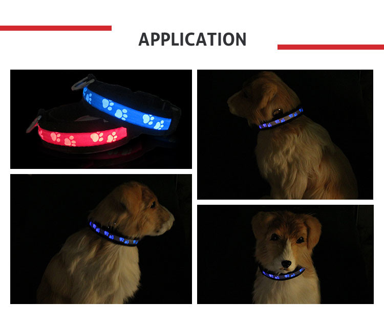 Easy Walking USB Rechargeable LED Dog Collar Green / Blue / Pink With 65Mah Liuthium Battery
