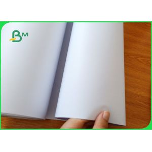 60gsm 70gsm 80gsm Large Format Inkjet Engineering Plotter Paper In Roll