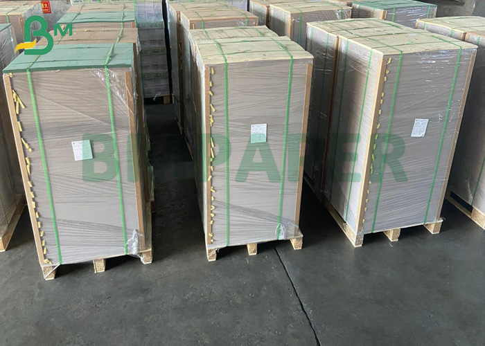  Absorbent Paper Sheets
