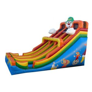 Customized Size Large Inflatable Slide With Coloful Shape For Backyard