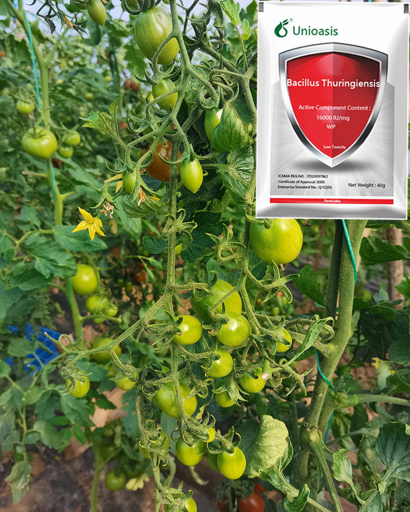 32000iu Bt Bacillus Thuringiensis Kills Cabbage Moth Insecticide
