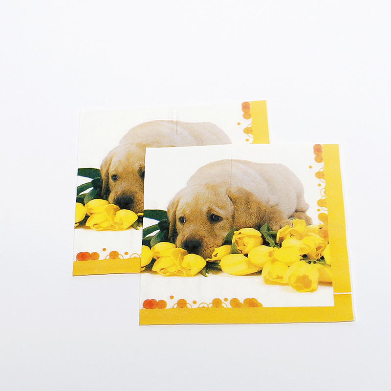 Printed Personalised Paper Napkins Cocktail Dinner Serviettes 1/4 1/8 N