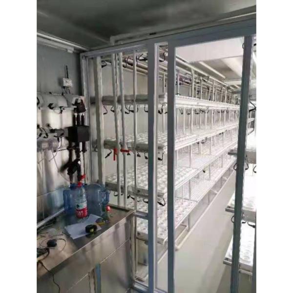 Freezer Shipping Container Farm Hydroponic Green Efficient Growth Plant