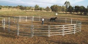 China 13 Round Yard Panels For Sale AND YARD ACCESSORIES Cattle Yard Victoria on sale
