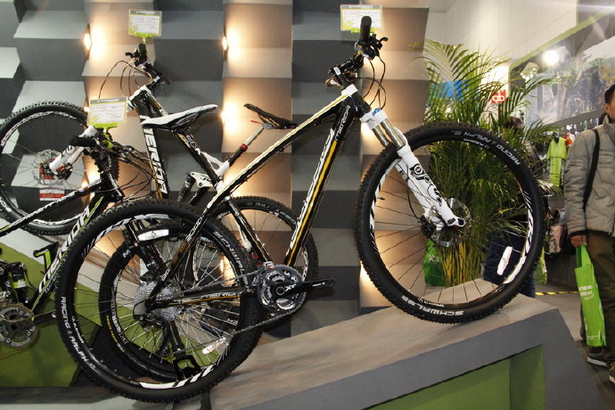 20 Inch 350W Electric Folding Fat Bike CE Certificate Waterproof In Rain