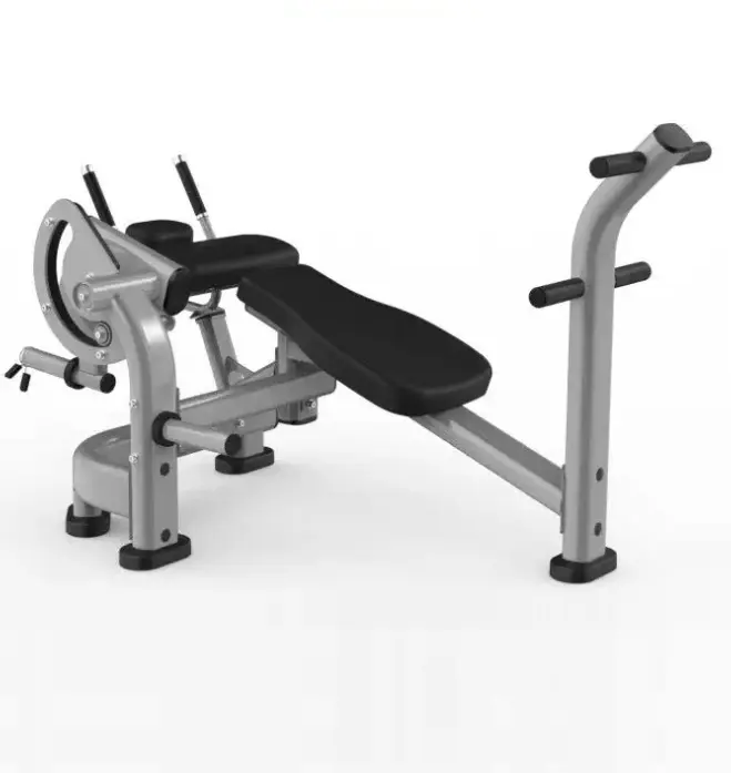 Adjustable Bench Commercial Gym Equipment for Back Extension and ABS Machine Pin Load Selection Options