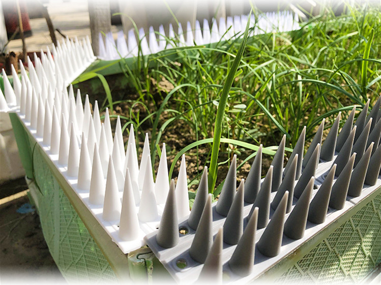 Plastic Fence Wall Anti Climb Bird Deterrent Spikes Use Design On Rooftops Fence