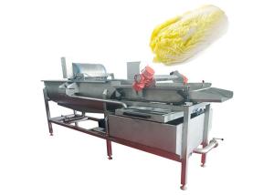  304 SS Vegetable Fruit Washing Machine Salad Cleanning Equipment Manufactures