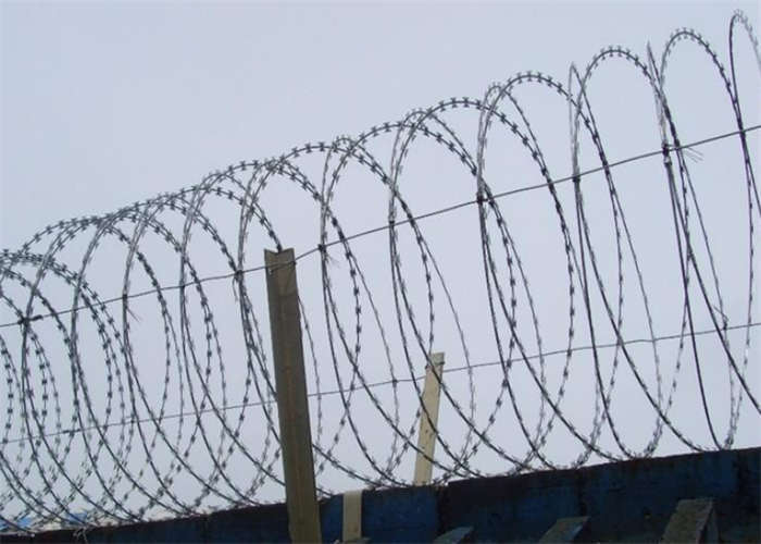 Blade Thorn Galvanzied Prison Razor Wire Fence 2.5mm Razor Wire BTO 22