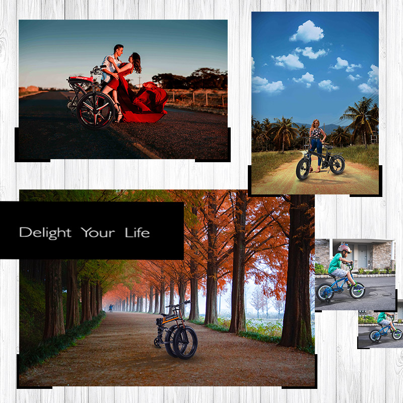 Fast Speed 26 Inch Electric Bike 350w Brushless Motor Aluminum Alloy Hub