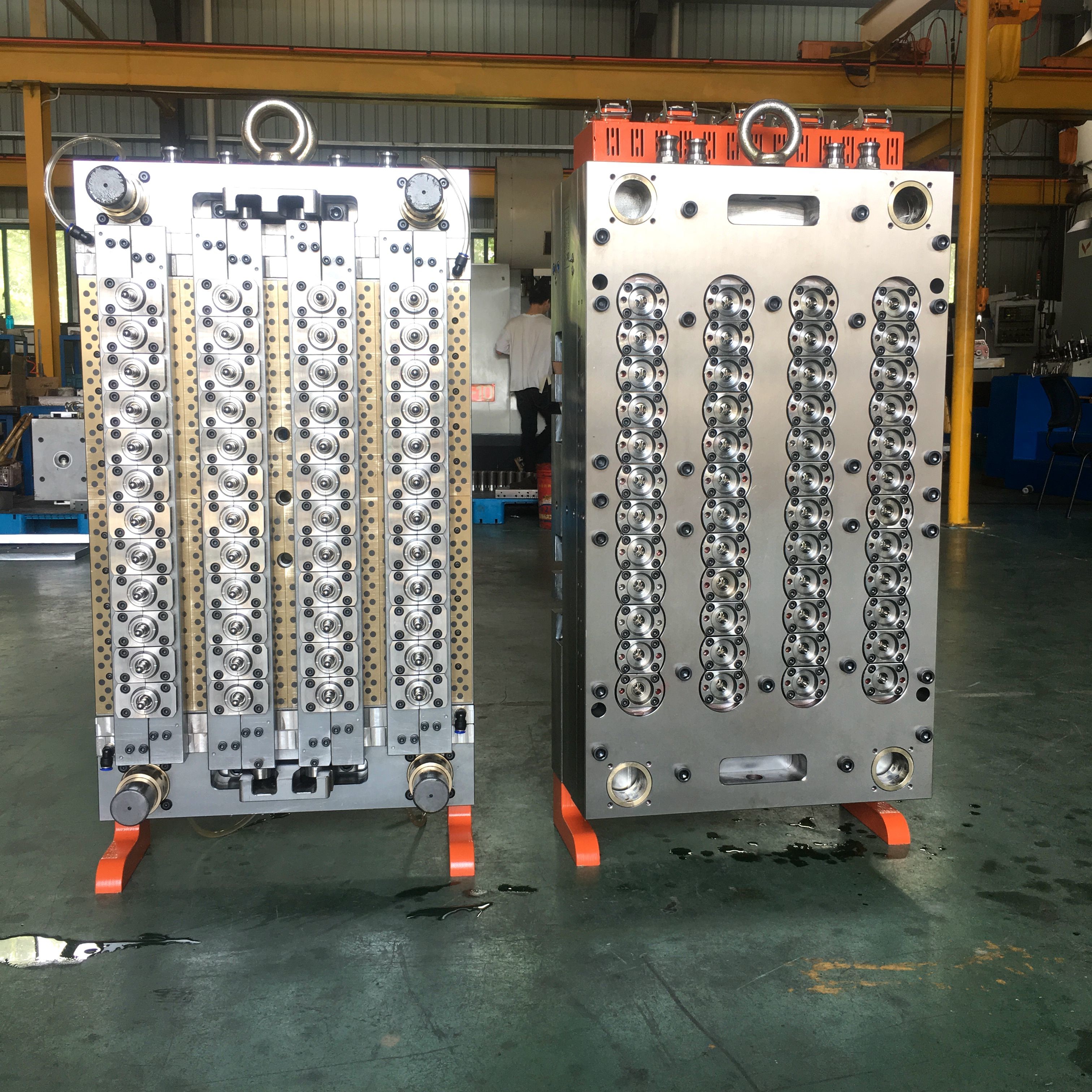 Polished Plastics Injection Mold With LKM Local Standard & PANTONE877 U