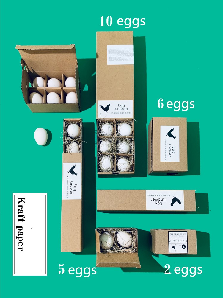 Custom Unique Surprise Egg Trays Cardboard Paper Roll Packaging for Quail and Goose Eggs
