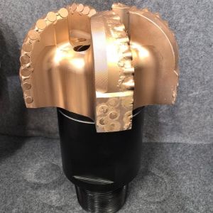 Efficiently Designed PDC Drill Bits For Soft To Medium Shale Sequences With Low Abrasiveness Color