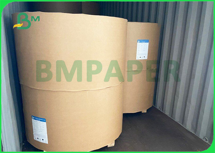 Certified Ink Evenly And Exquisite Color 300gsm FBB Coated Board In Roll