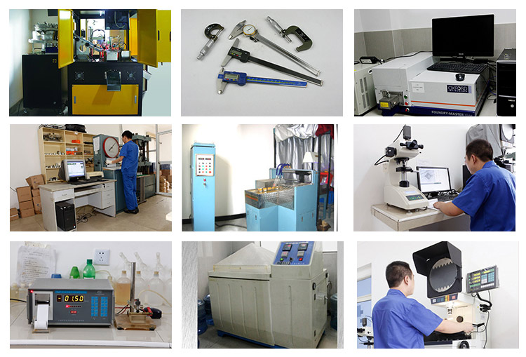 Carbon Steel Grade 10.9 Hot DIP Galvanized Stainless Steel U Bolt Bending Machine Square Lock Pipe Clamp Custom Size