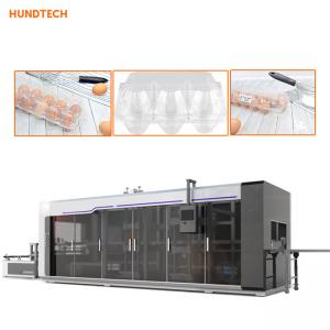 China Four stations Egg Tray Manufacturing Machine Egg Packaging Thermoforming machine on sale