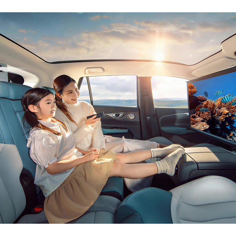 GAC Aions and Y's Electric Vehicles The Future of Shandong Gaia's Automotive Industry