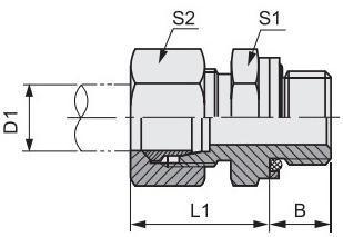 Bsp Thread with O-Ring Seal 1cg/Dg 1cg-Rn/Dg-Rn