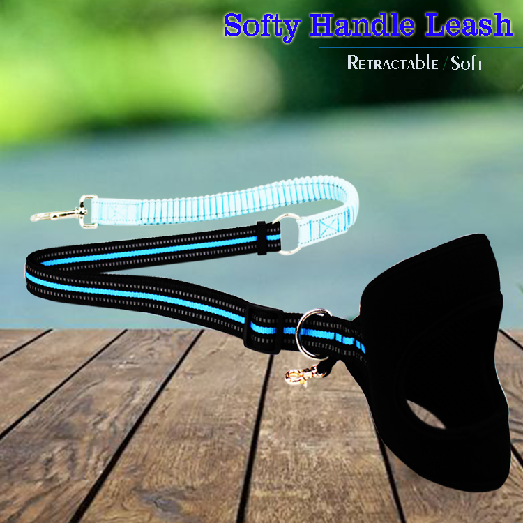Fashion Custom Bungee Elastic Extended Retractable Nylon Braided Rope Dog Leash