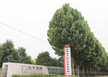 Henan Yuanda Boiler Co., Ltd.