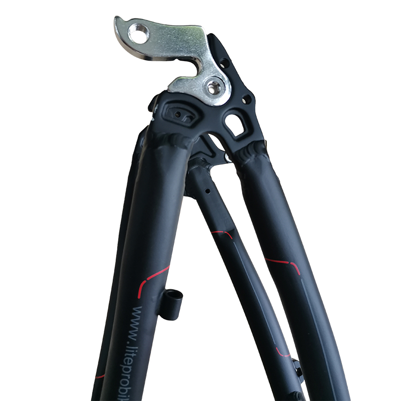 20" Aluminum Alloy Folding Bike Frame with Gloss Surface Processing Mode Suitable