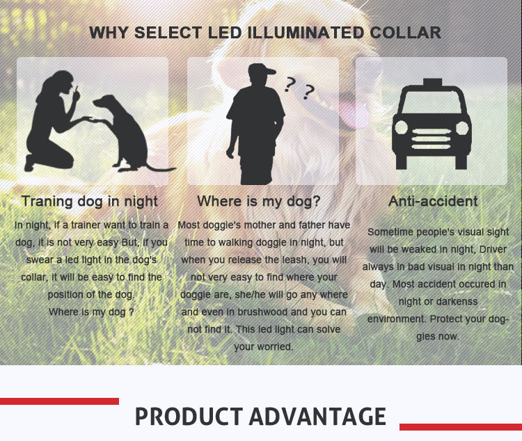 Factory Supply Neck Designs Light Strip Leather Dog Collar