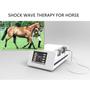 China Portable Shock Wave 5Mj ESWT Shockwave Machine on sale