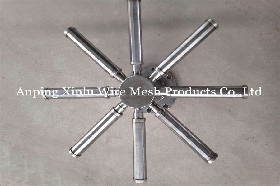 SS 316L Johnson Wedge Wire Lateral Pipe Assemblies DN32 219mm