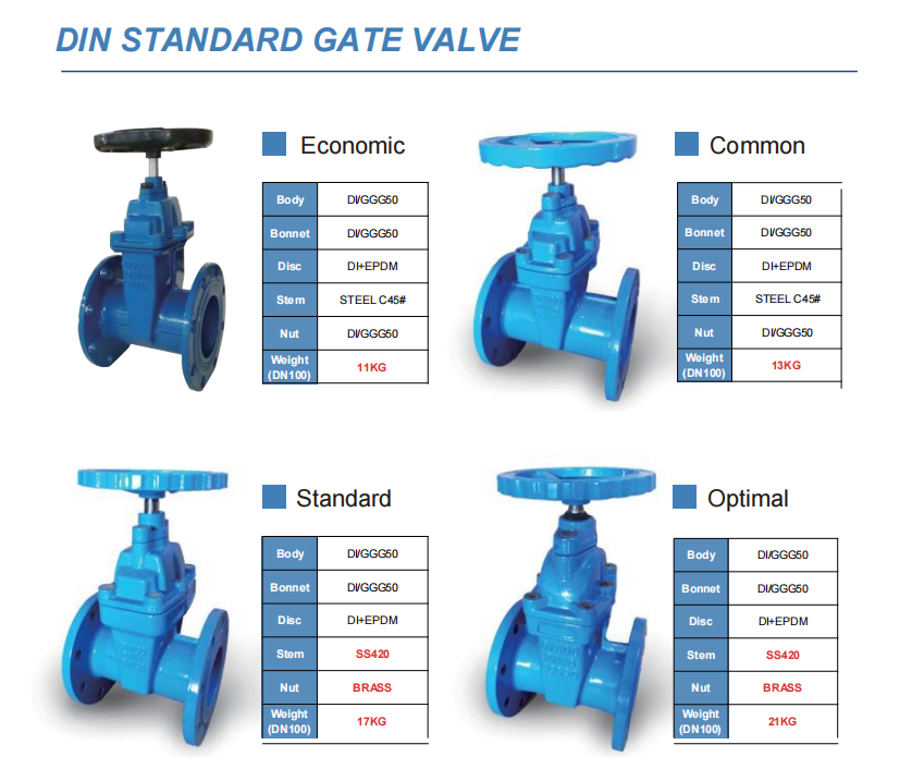 OEM Port Size Stainless Steel Valves and Fitting with Ductile Iron Body Material