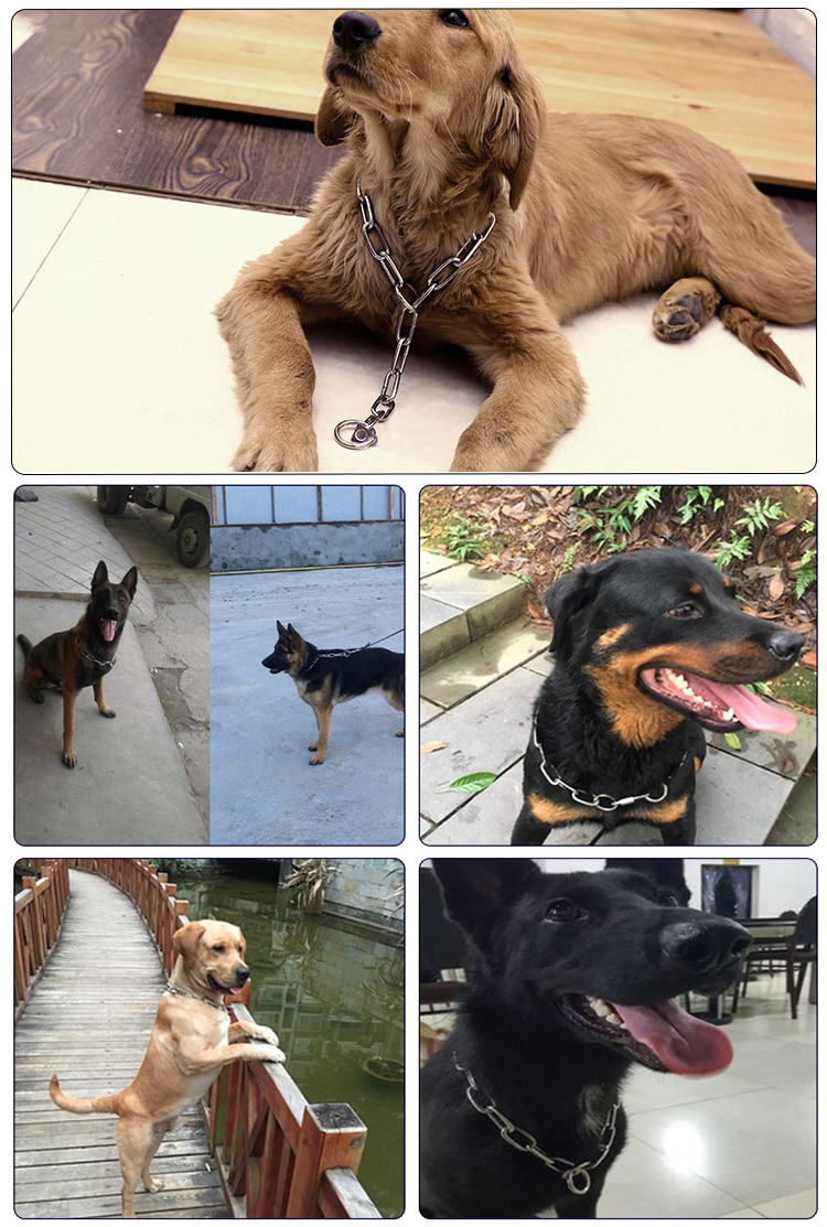 Dog Collar Soft Reflective Adjustable Nylon Custom Heavy Duty Webbing Padded Buckle Tactical