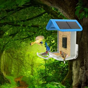 China Smart Bird Feeder with Camera Wifi App Install AI Recognize Bird Species on sale