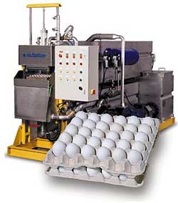 Small Pulp Semi Automatic Paper Dish Making Machine 80KW Reciprocating