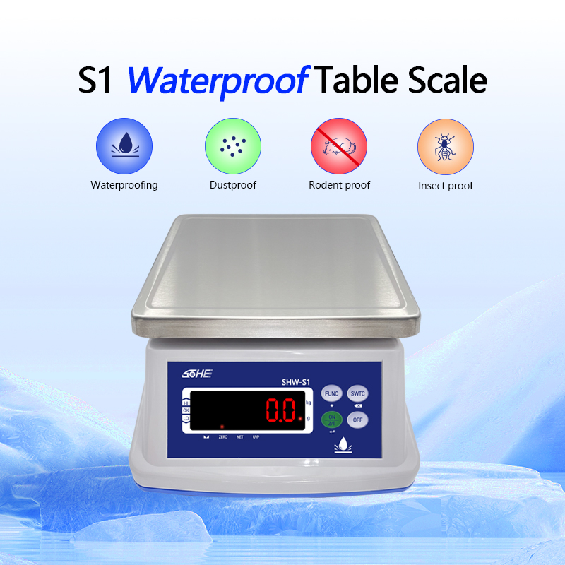 AC/DC Power Supply SOHE A1S Waterproof Scale IP68 3KG with Stainless Steel Design