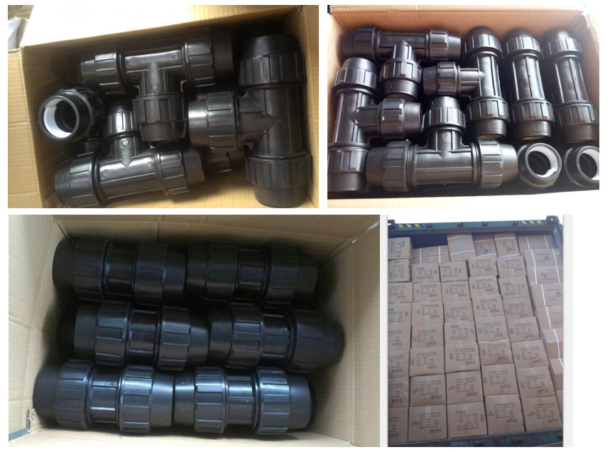 Female Tee PP Water Pipe Fitting with Reinforcing Ring for Pipe System