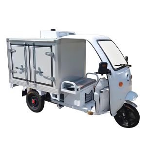 Electric Refrigerated Tricycle with 2°C~8°C and -20°C to -18°C Temperature