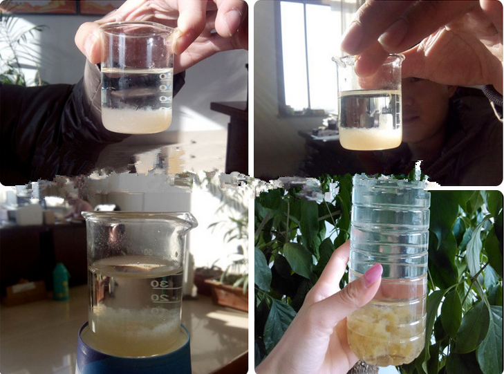 DAF Dissolved Air Flotation Clarifier for Sliver//Blue/Green/etc. Water Treatment