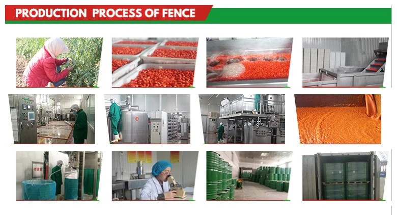 NOP EU Certified Organic Goji juice concentrate 100% goji berry juice concentrate the lycium chinese of ningxia