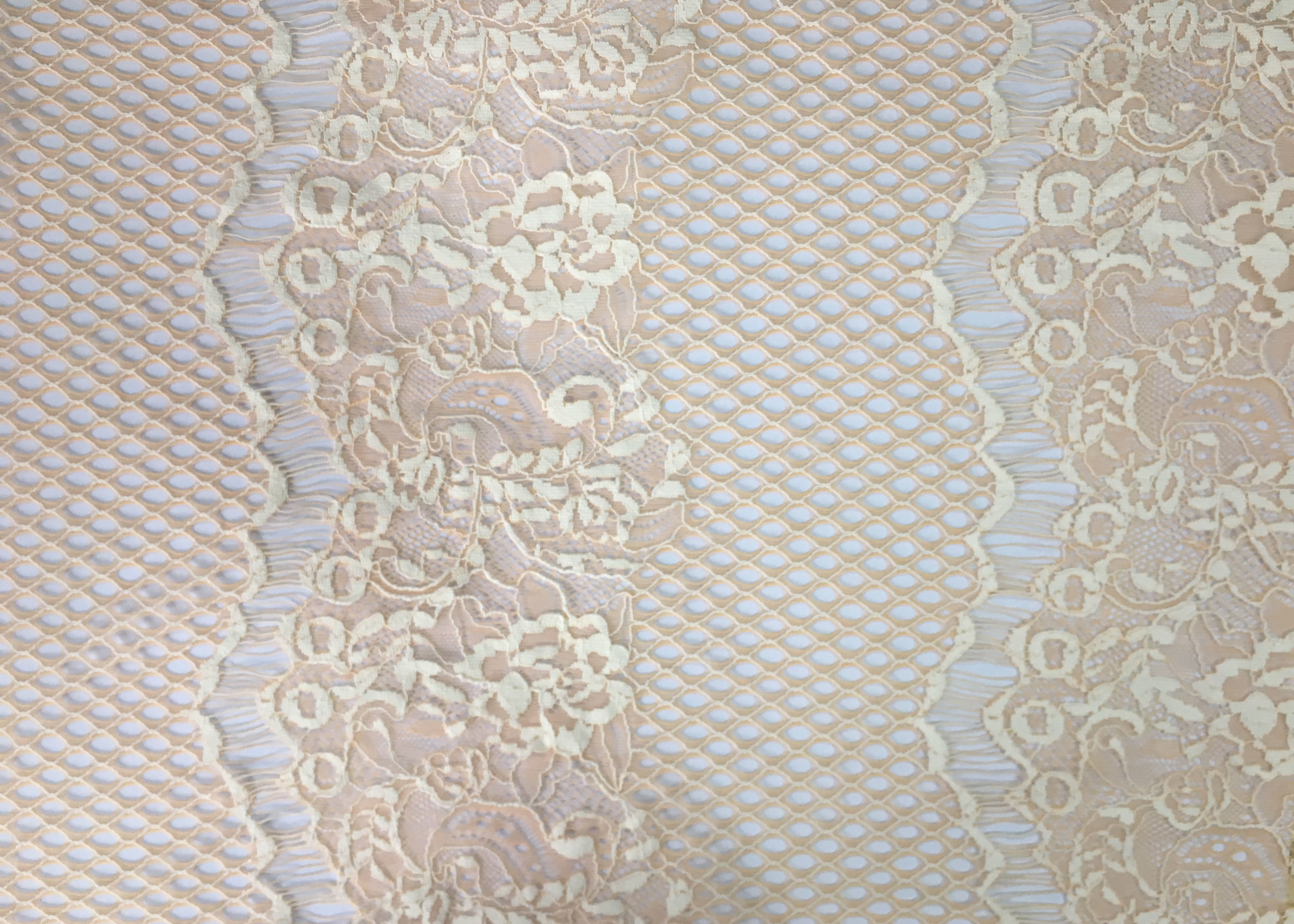Customized Color Fashion Lingerie Lace Fabric Beads / Rhinestones Decoration