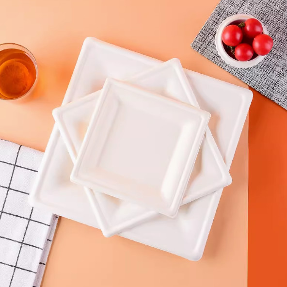 8 Inch Bagasse Square Plates Large Disposable Dinner Plates Water Resistant