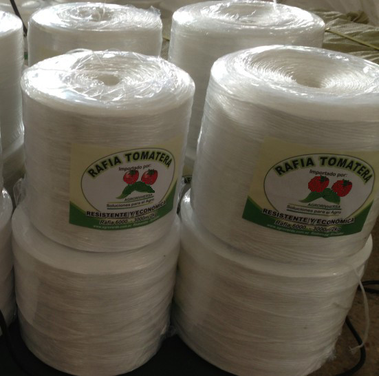 Highly UV Resistant PP Fibrillated Tomato Twine Tape Agricultural For Chile