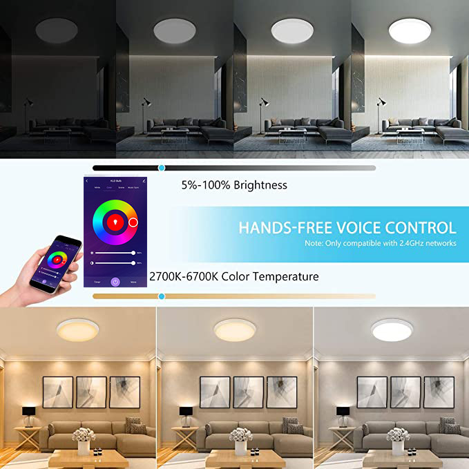 Multifunctional RGBCW Smart Wifi Voice App Remote Control Bedroom Living Room Music Led Ceiling Lamp