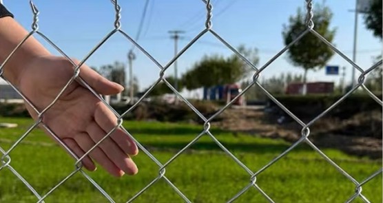 Hot Dip Galvanized Cyclone Metal Wire Net Small Hole Chain Link Fence Sheet