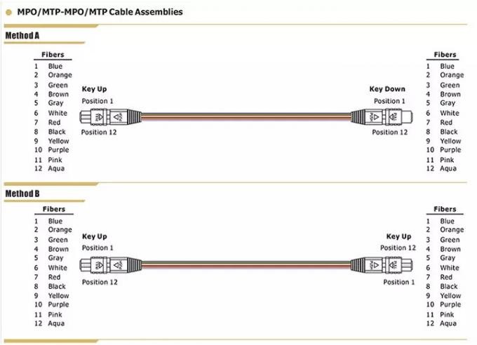 MPO MTP Patch Cord Connector 8 Core 12 Core 24 Core OM3 Fiber Optical