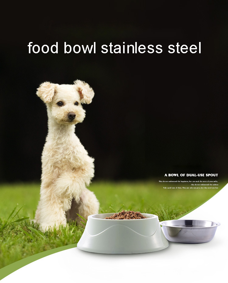Stainless Steel Dogs Bowl Cat Food Bowl Custom Colorful Capacity 400ML Custom Design