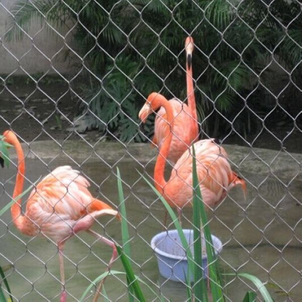 Inox X-tend Aviary Netting