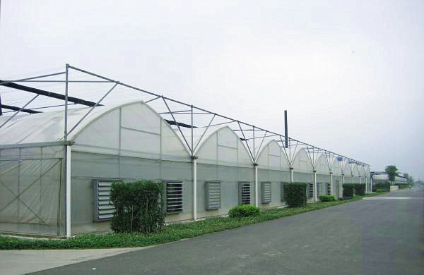 Galvanized Agriculture Vertical Commercial Hydroponic Greenhouse Multi Span