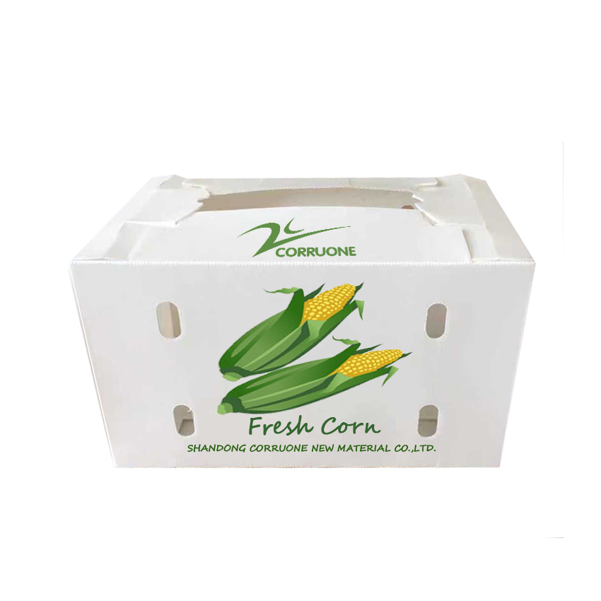 Embossing PP Vegetable Corrugated Boxes Rice Meat Corflute Box